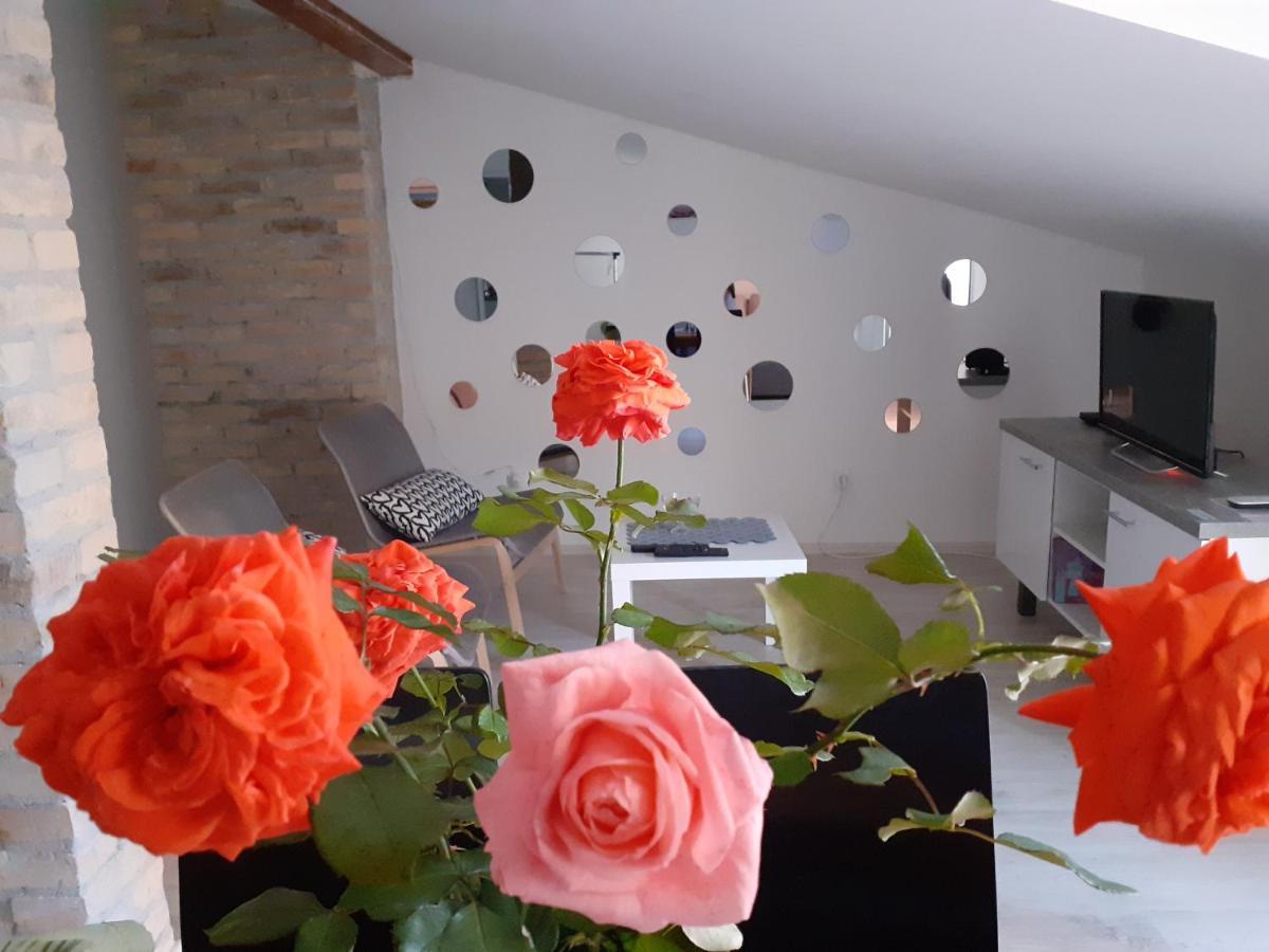 Flora Novi Sad Apartment Luaran gambar