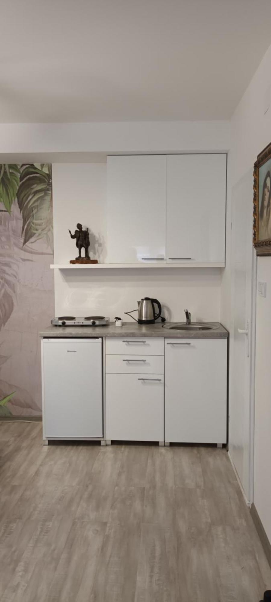 Flora Novi Sad Apartment Luaran gambar